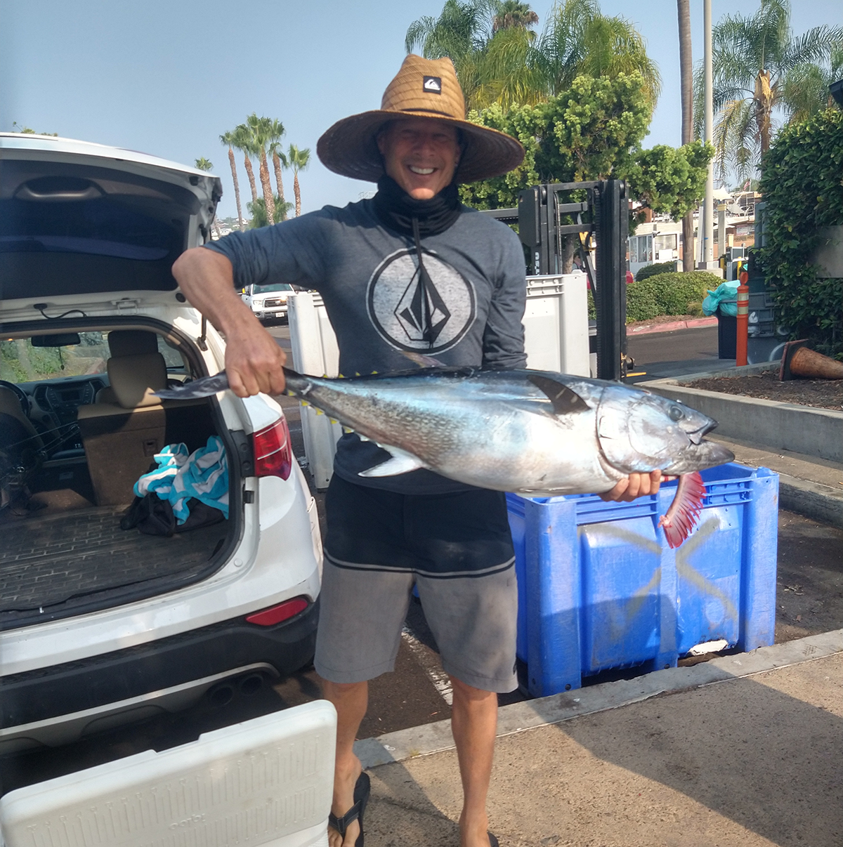 Bluefin Tuna