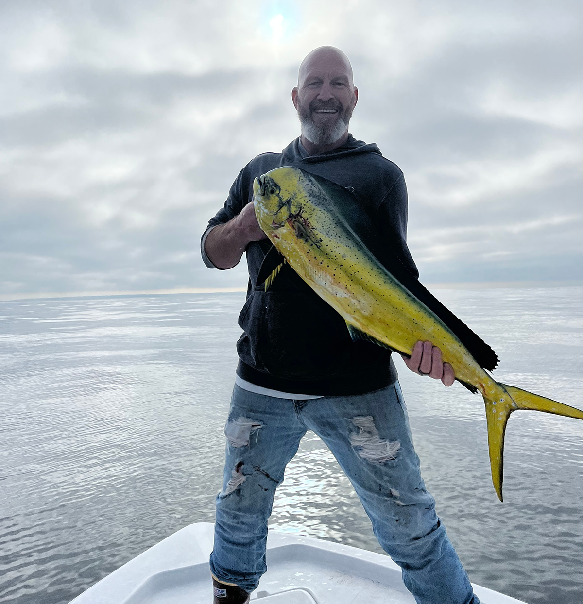 Dorado